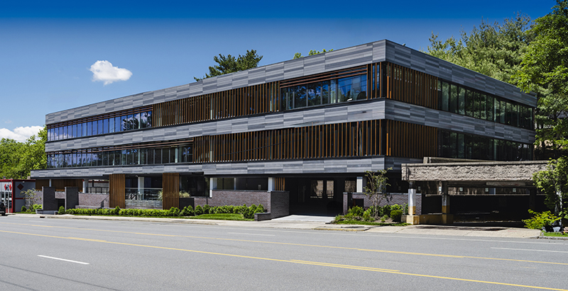 Mojo Stumer revives neglected Wego Chemical office building